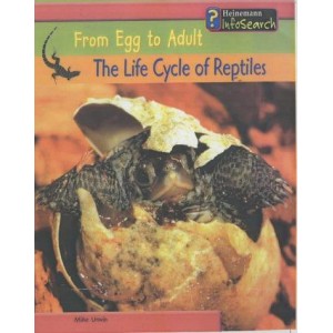 From Egg to Adult : The Life Cycle of Reptiles