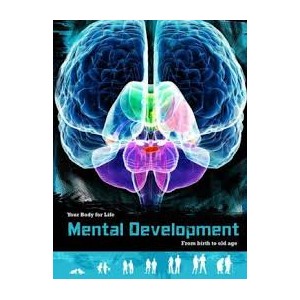 Mental Development From Birth To Old Age