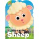 Farm Animal : Sheep