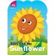 Flower : Sunflower
