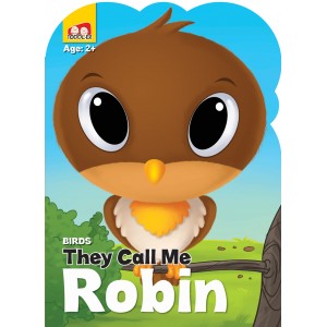 Forest Bird : Robin