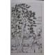 Folk Tales From The Far East