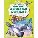 How many feathers does a bird have?