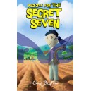Puzzle for the Secret Seven 